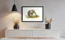 Eléphant d'afrique_in situ_2_©Derib-Orakart.webp