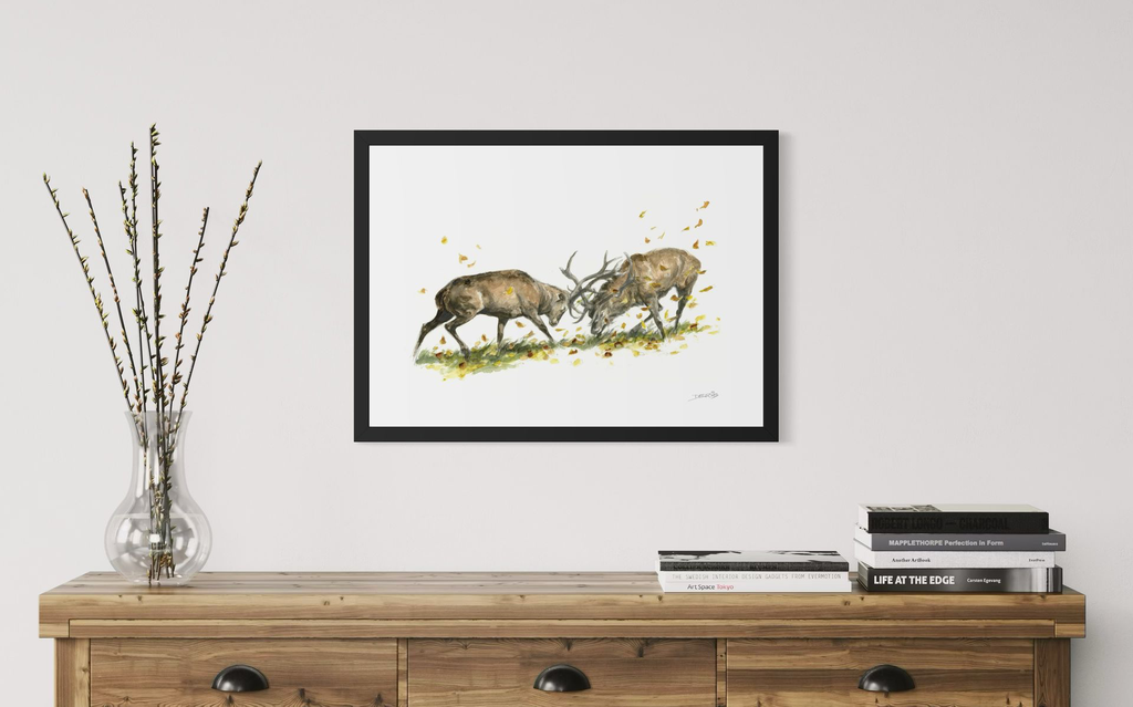 Comabt de cerf_in situ_2_©Derib-Orakart.webp