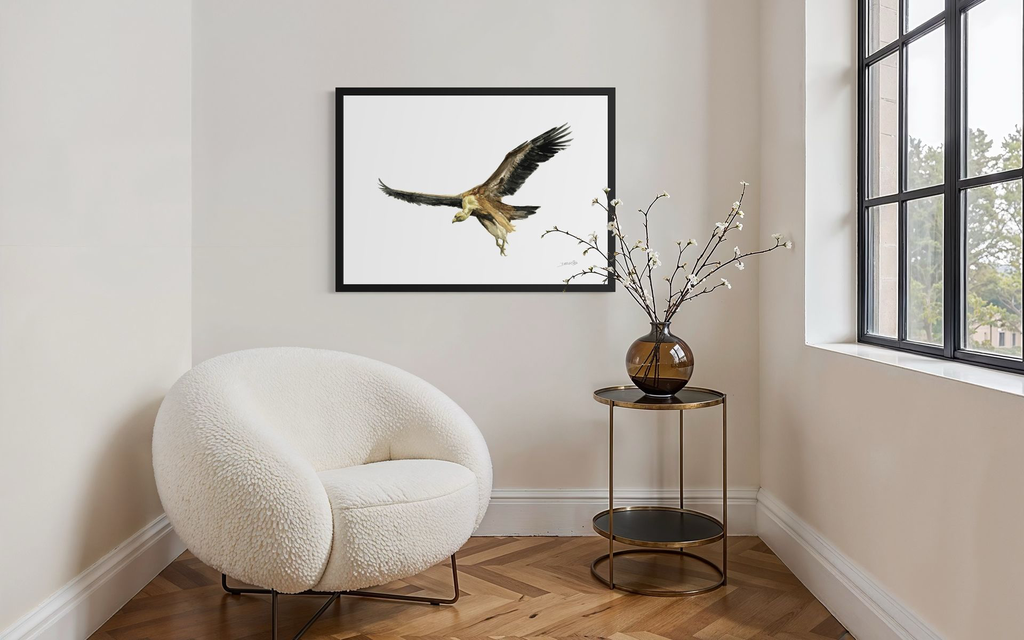 Vautour fauve_in situ_2.webp