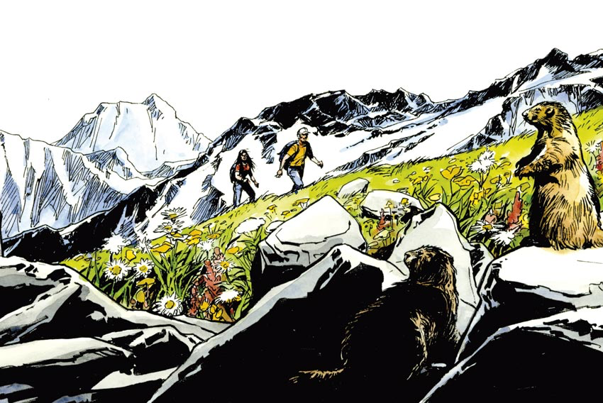 Les Marmottes de Tsarmine (13x18 cm)