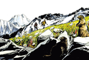 Les Marmottes de Tsarmine
